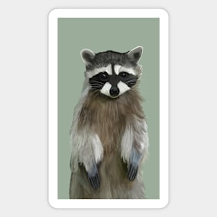 Cute Standing Raccoon Magnet